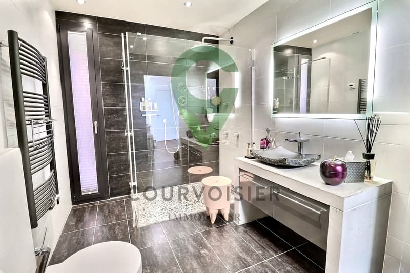 Magnifique duplex avec vue imprenable sur le lac et les Alpes! (8)