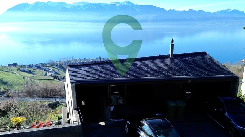 Magnifique duplex avec vue imprenable sur le lac et les Alpes! (2)
