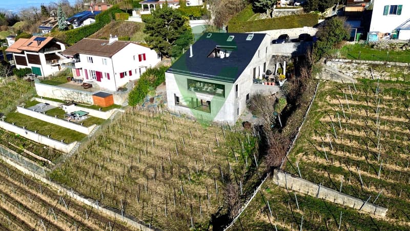 Magnifique duplex avec vue imprenable sur le lac et les Alpes! (3)