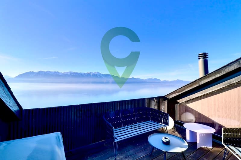 Magnifique duplex avec vue imprenable sur le lac et les Alpes! (10)
