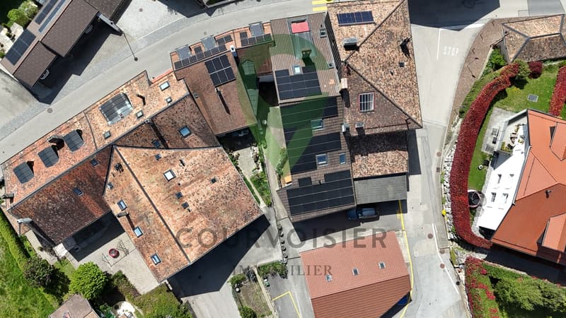 Duplex de 4,5 pièces avec locaux annexes de 52 m2 (13)