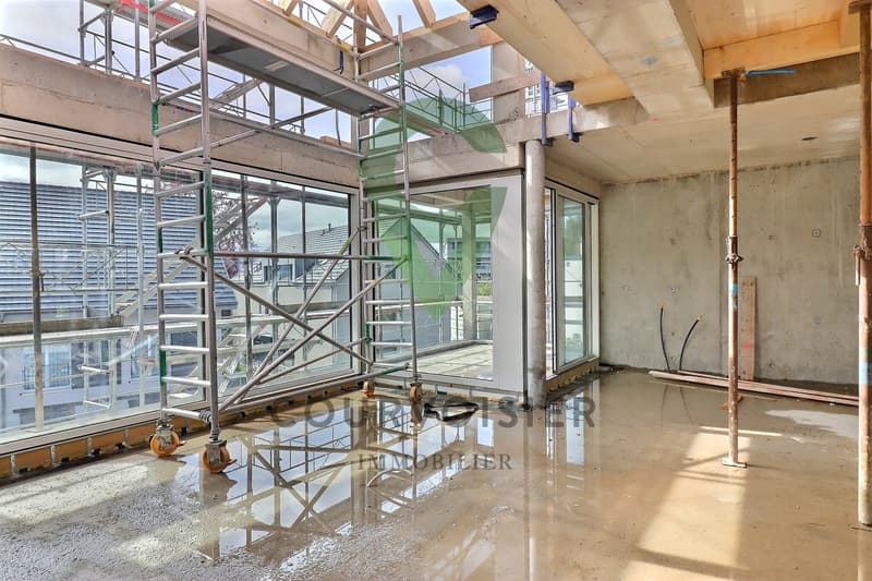 Magnifique appartement de 4.5 à 5 mins de Tartegnin (7)