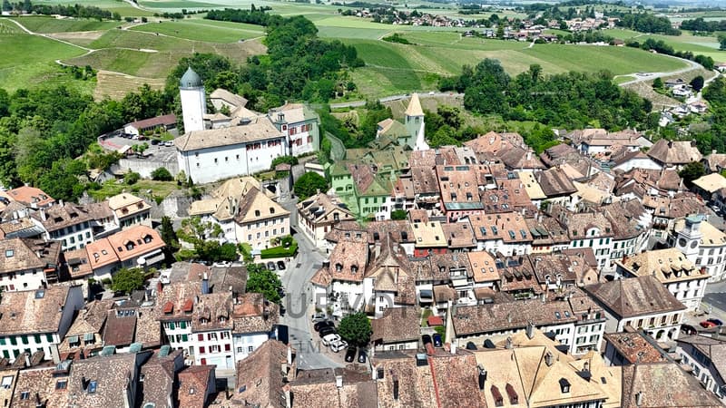Immeuble de ville de caractère avec 3 logements distincts (3)