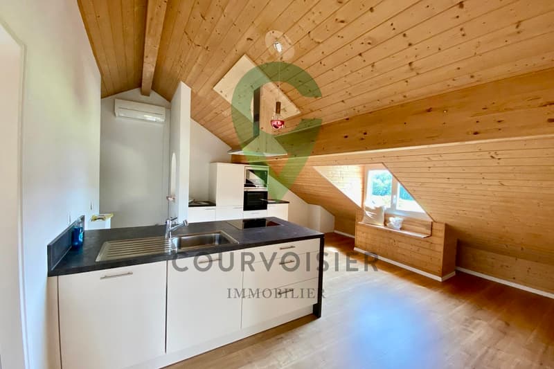 Maison de standing avec appartement séparé (13)