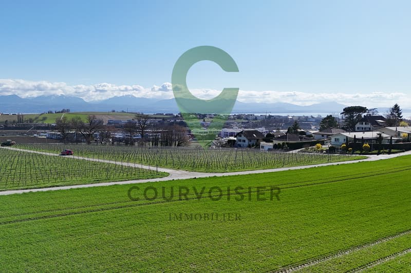 Maison hors du commun à deux pas de Morges (4)