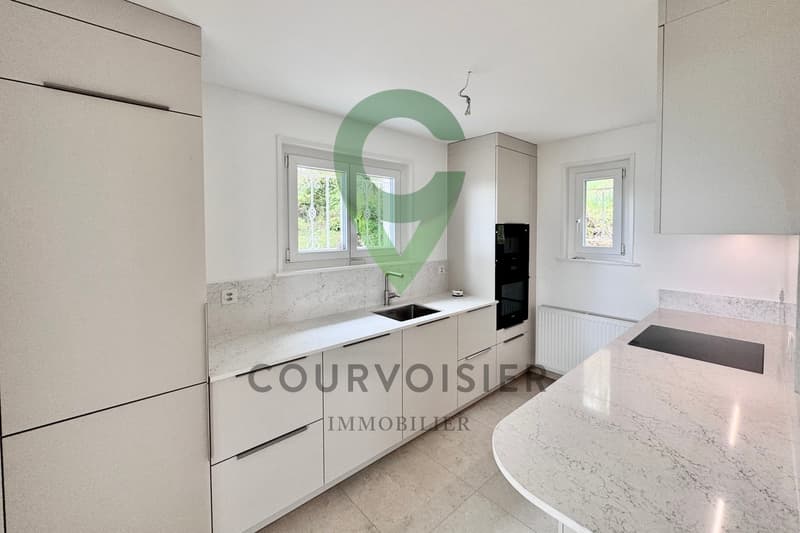 Maison individuelle de 6,5 avec vue imprenable (1)