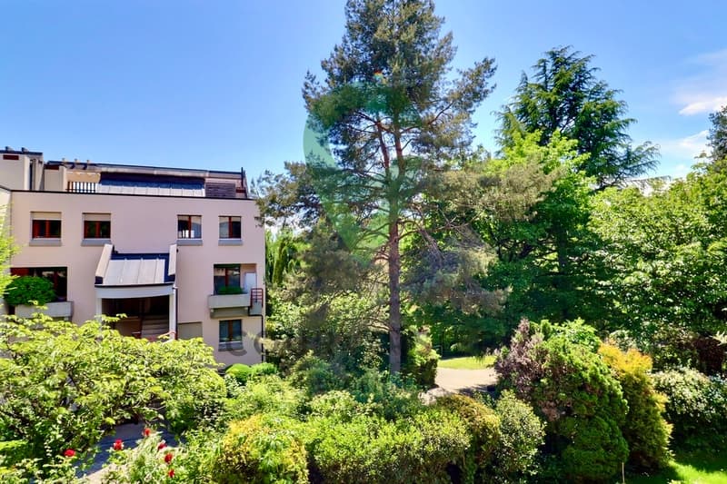 Spacieux triplex de 5.5 pièces niché dans un écrin de verdure (3)