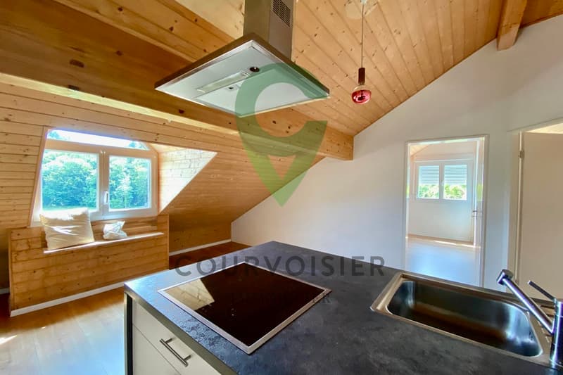 Maison spacieuse avec appartement séparé (11)