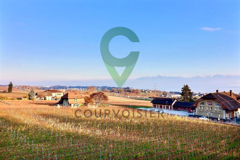 Splendide appartement de 5,5 pièces avec vue sur lac et alpes (13)