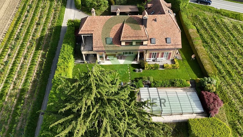 APPARTEMENT EN ATTIQUE AVEC VUE IMPRENABLE SUR LE LAC ET ALPES (13)