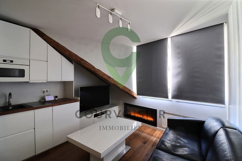 Studio avec cachet en vielle ville de Genève idéal pour les étudiants (5)