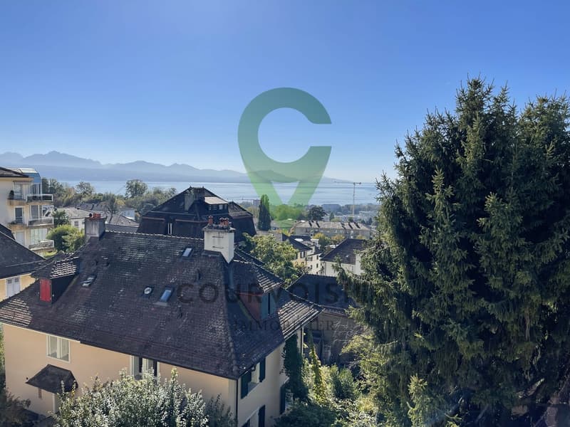 DUPLEX DE 5.5 PIECES DANS PETITE COPROPRIÉTÉ (11)