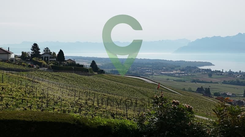 BELLE DEMEURE VIGNERONNE AYANT DU POTENTIEL (5)