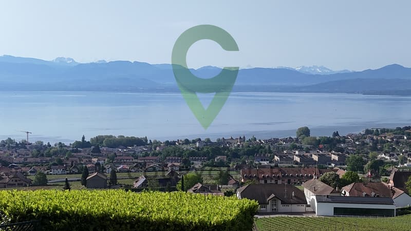 BELLE DEMEURE VIGNERONNE AYANT DU POTENTIEL (4)