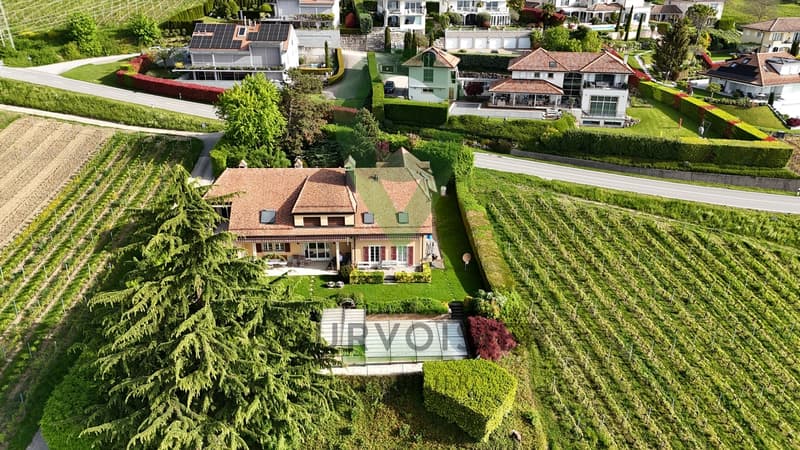 BELLE DEMEURE VIGNERONNE AYANT DU POTENTIEL (3)