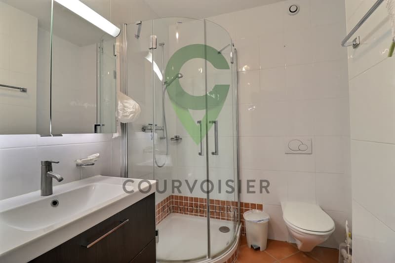 PAISIBLE APPARTEMENT DE 4,5 PIECES A NYON (11)