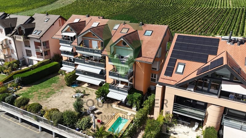 BEL APPARTEMENT DE 4,5 PCES, VUE LAC ET ALPES PROCHE DES COMMODITES (13)