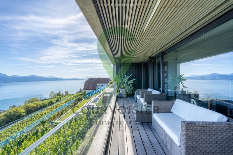 Le lac dans votre salon! Magnifique duplex au coeur du Lavaux! (2)