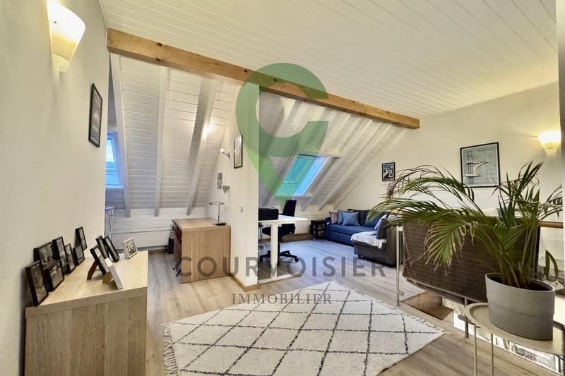 Charmant duplex de 5,5 pièces modulable en 2 appartements indépendants (4)