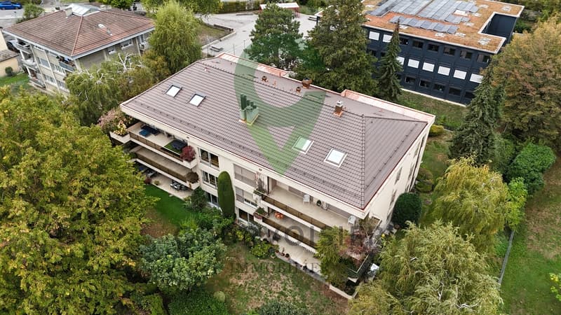 Sublime appartement de maître avec jardin au coeur de Pully (12)