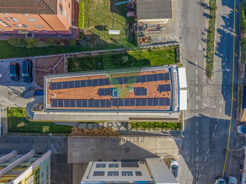 Aux portes de Lausanne - superbe 4,5 pièces neuf en rez-de-jardin (12)