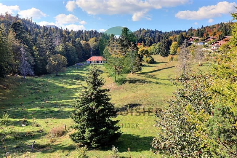 La nature à la porte de votre chalet individuel (8)