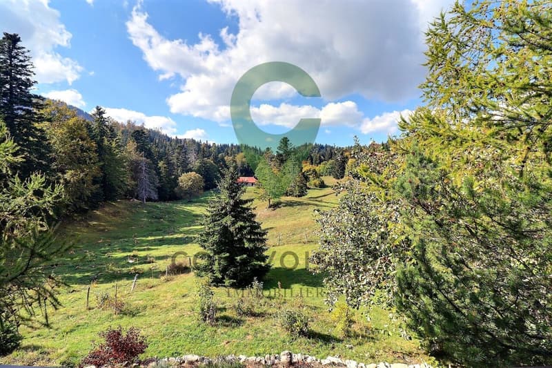 La nature à la porte de votre chalet individuel (5)