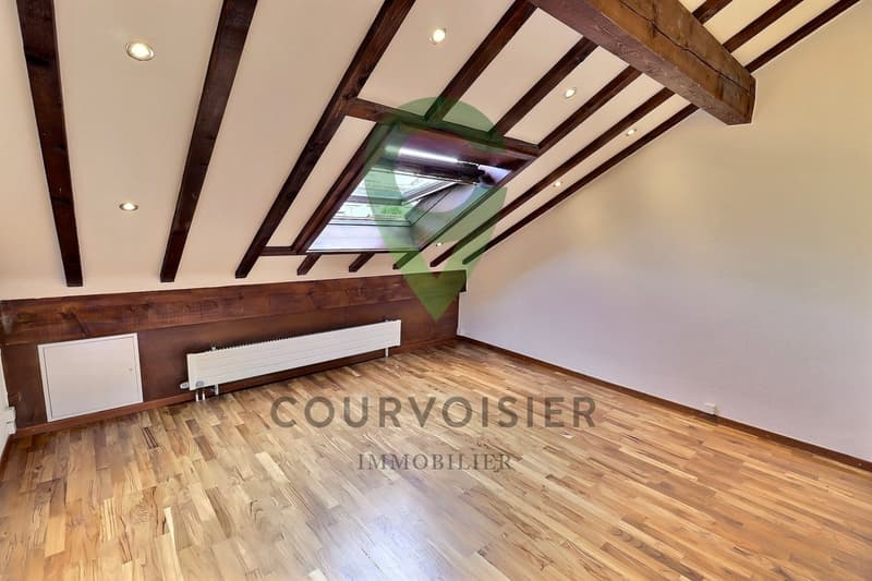 Magnifique triplex en pignon rénové avec jardin et piscine (13)
