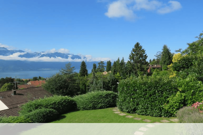 well-maintained garden, with various plants and shrubs, with a scenic view of a lake and mountains