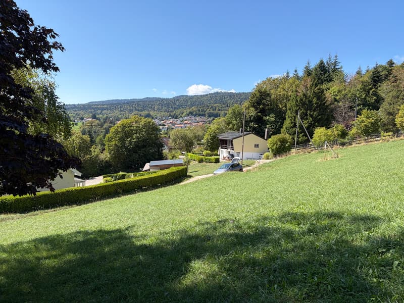 2 plots  of 1100 m² - 30 minutes from Geneva (3)