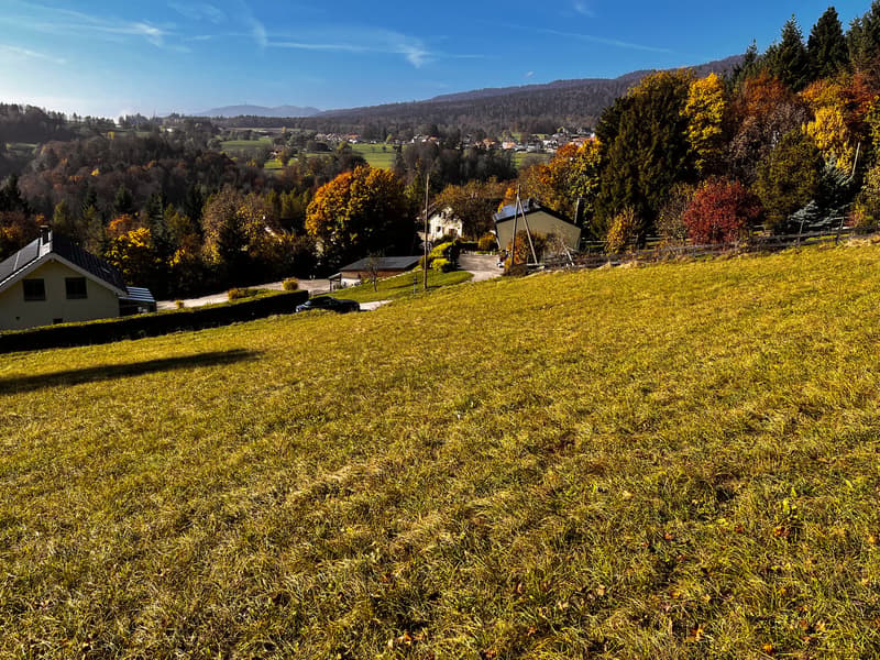 2 plots  of 1100 m² - 30 minutes from Geneva (4)