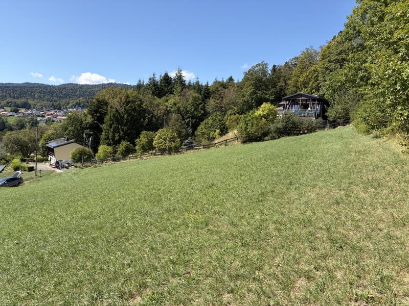 1 Plot of 2200 m² - 30 minutes from Geneva (7)