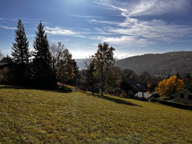 1 Plot of 2200 m² - 30 minutes from Geneva (6)