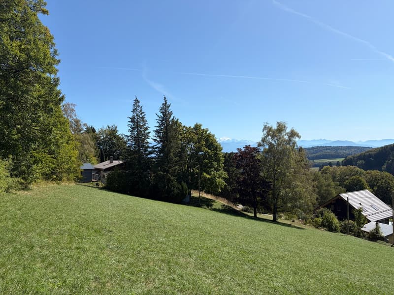 1 Plot of 2200 m² - 30 minutes from Geneva (2)