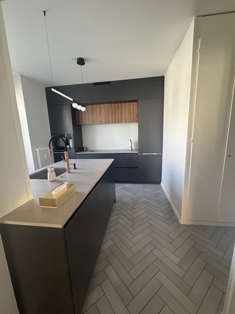 Lausanne sous-gare - Objet rare - magnifique appartement rénové dans un immeuble1900 (4)
