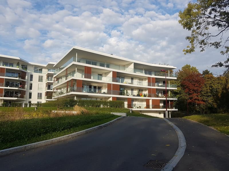 Le Mont-sur-Lausanne - Magnifique appartement de 4,5 pièces avec vue dans un cadre verdoyant (4)