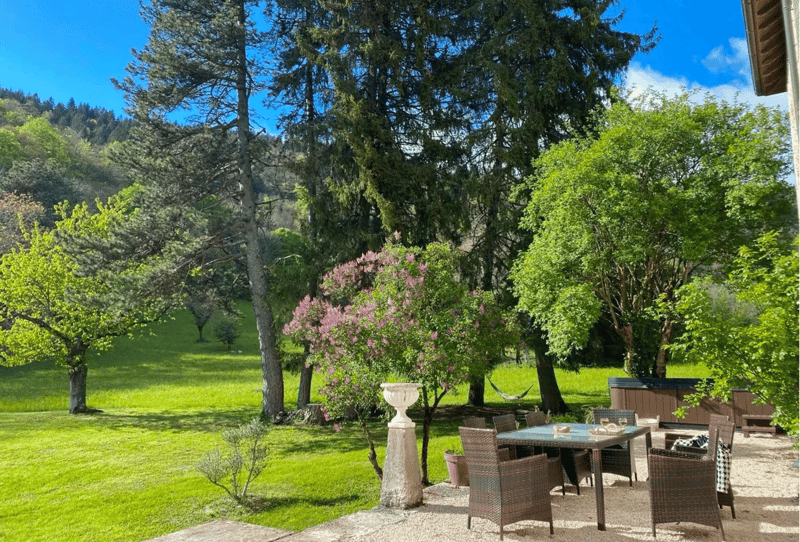 En France voisine -  à une heure de Genève .A vendre magnifique château- (5)