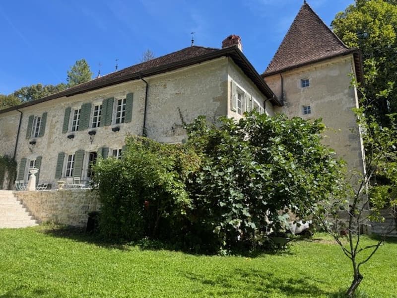 En France voisine -  à une heure de Genève .A vendre magnifique château- (2)