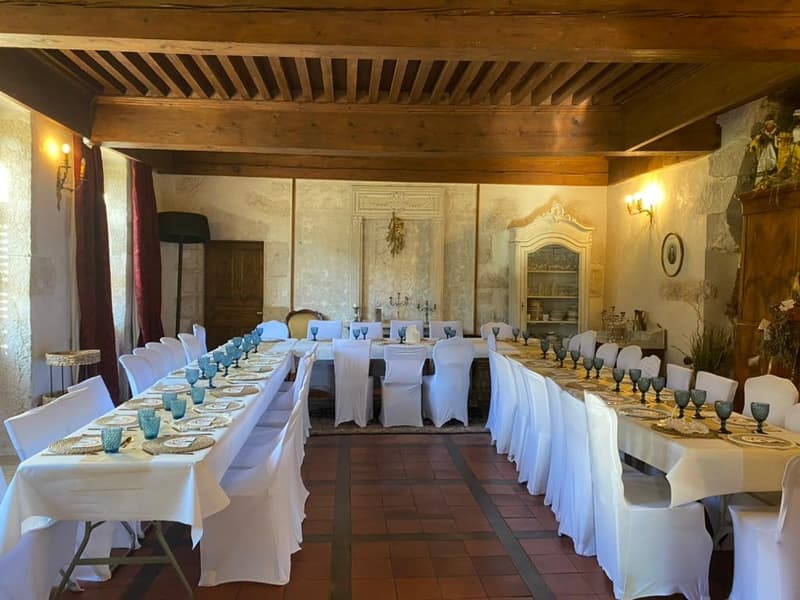 En France voisine -  à une heure de Genève .A vendre magnifique château- (9)