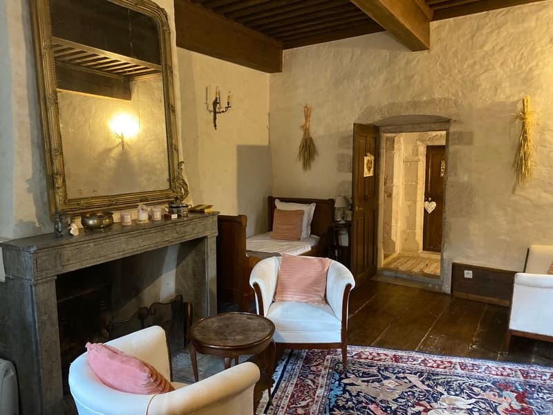 En France voisine -  à une heure de Genève .A vendre magnifique château- (10)