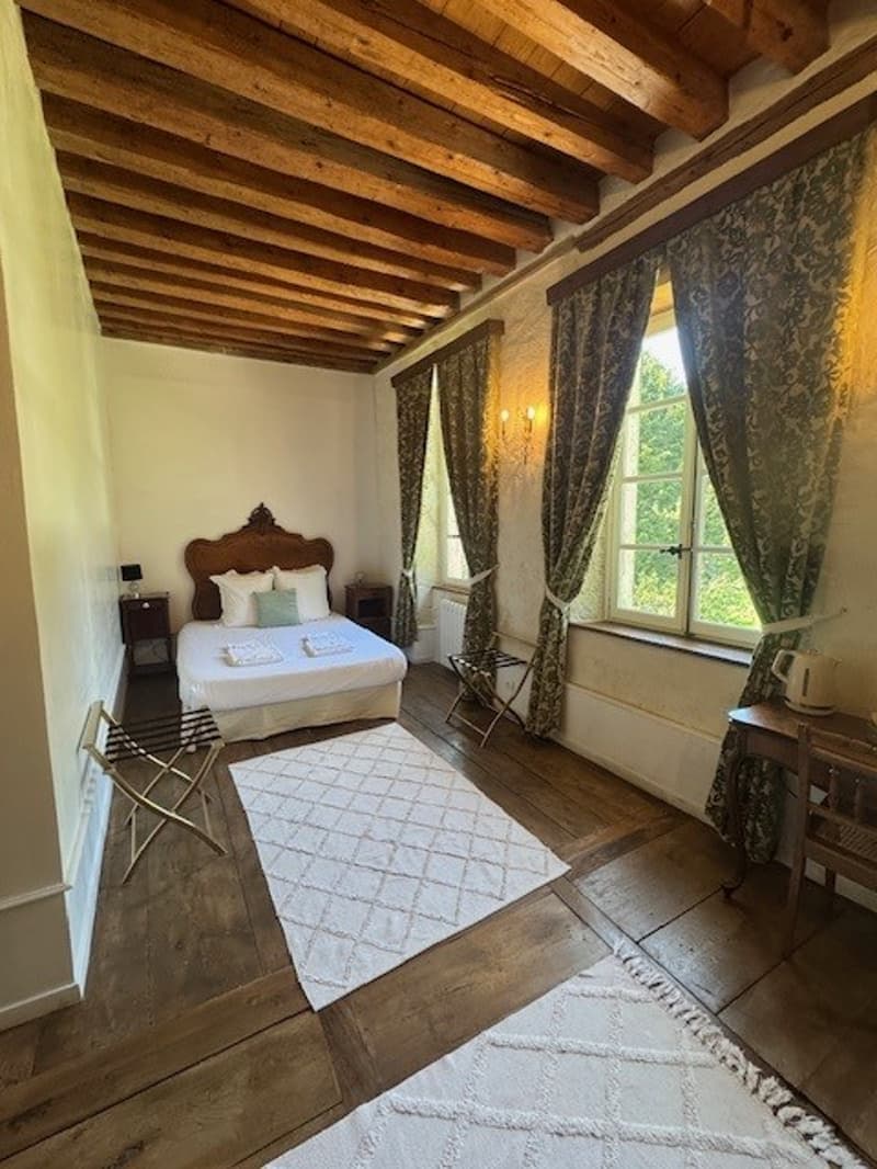 En France voisine -  à une heure de Genève .A vendre magnifique château- (14)