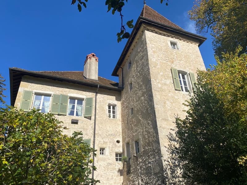 En France voisine -  à une heure de Genève .A vendre magnifique château- (4)