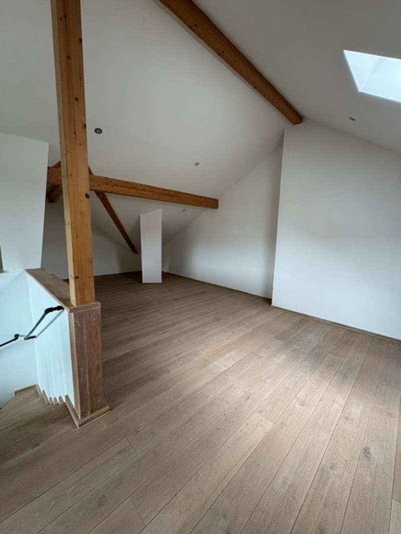 ECLEPENS - Superbe appartement en triplex (5)