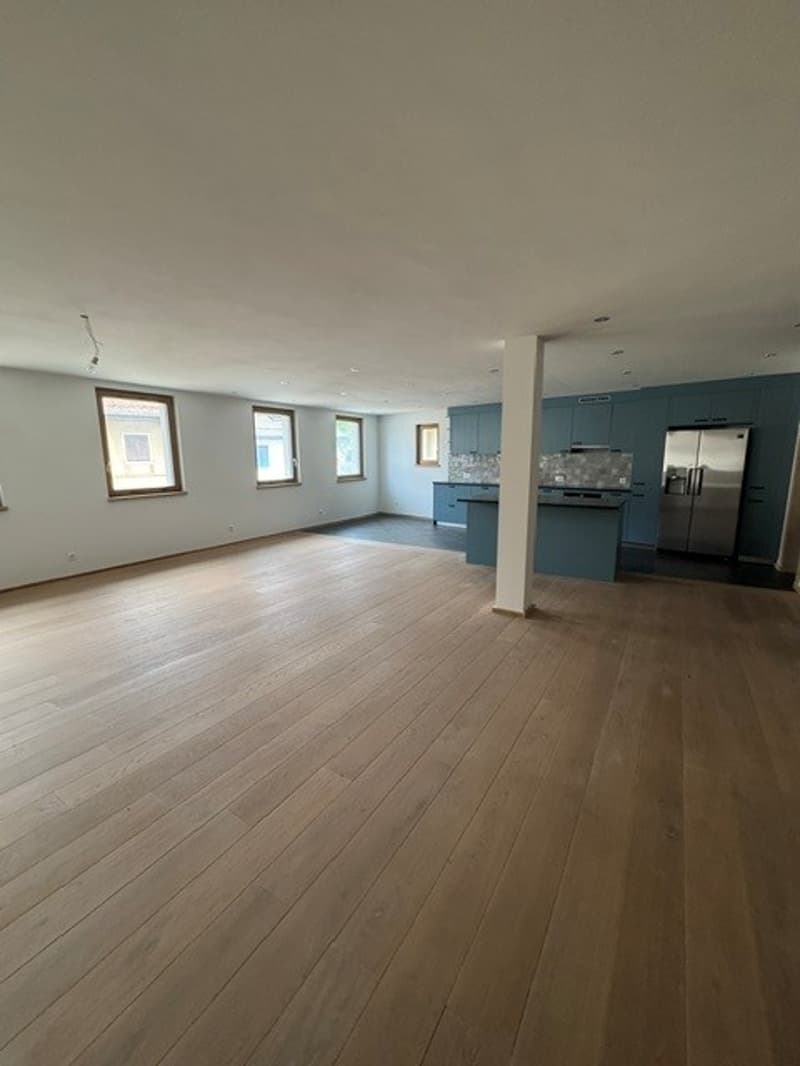ECLEPENS - Superbe appartement en triplex (4)