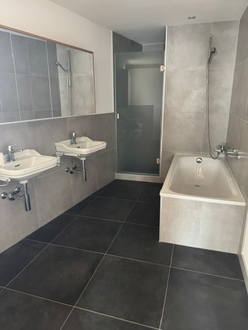 ECLEPENS - Superbe appartement en triplex (7)