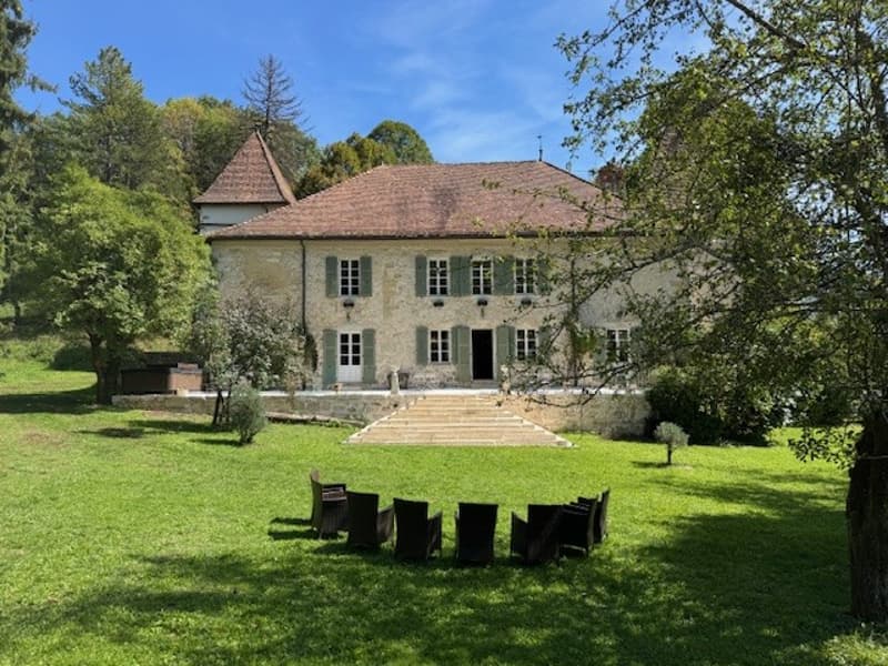 En France voisine - à une heure de Genève .A vendre magnifique château- (3)