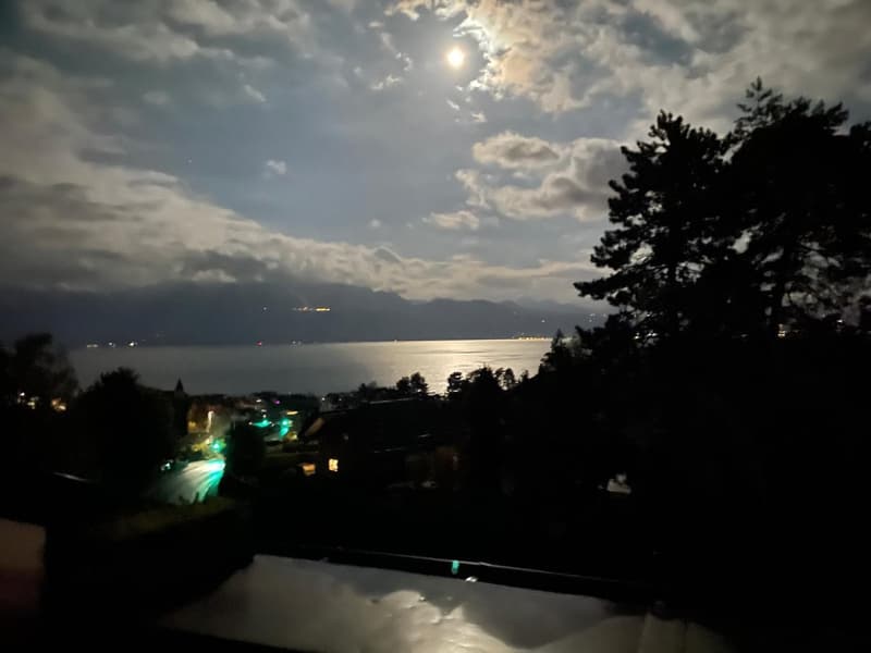 LUTRY - Charmant attique de 2.5 pièces plus combles avec vue et balcon (9)