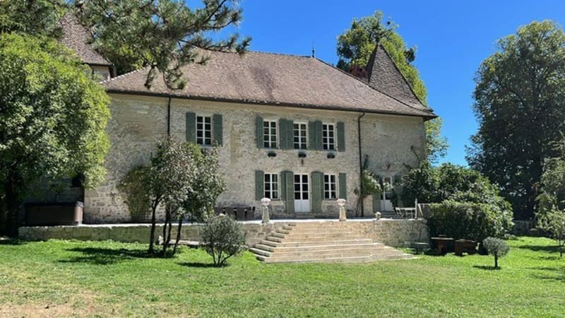 En France voisine -  à une heure de Genève .A vendre magnifique château- (2)