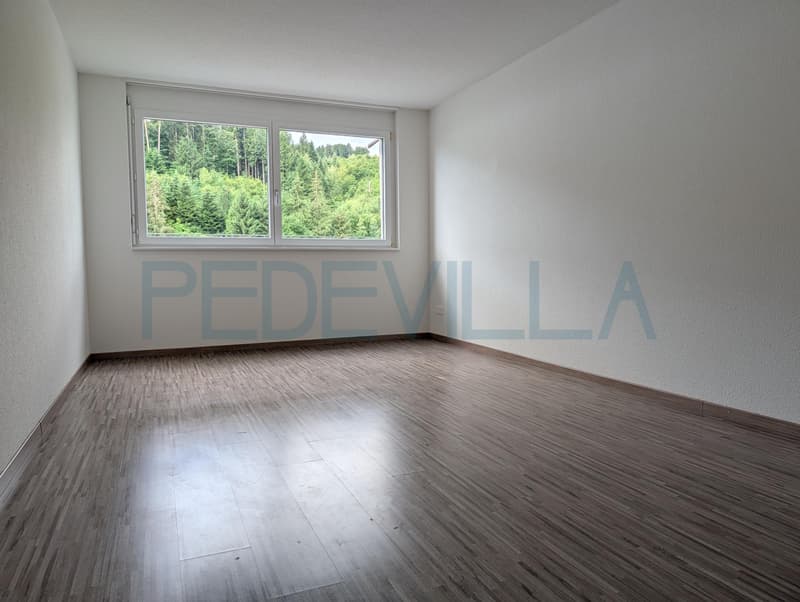 Appartement en attique avec terrasse spacieuse (5)
