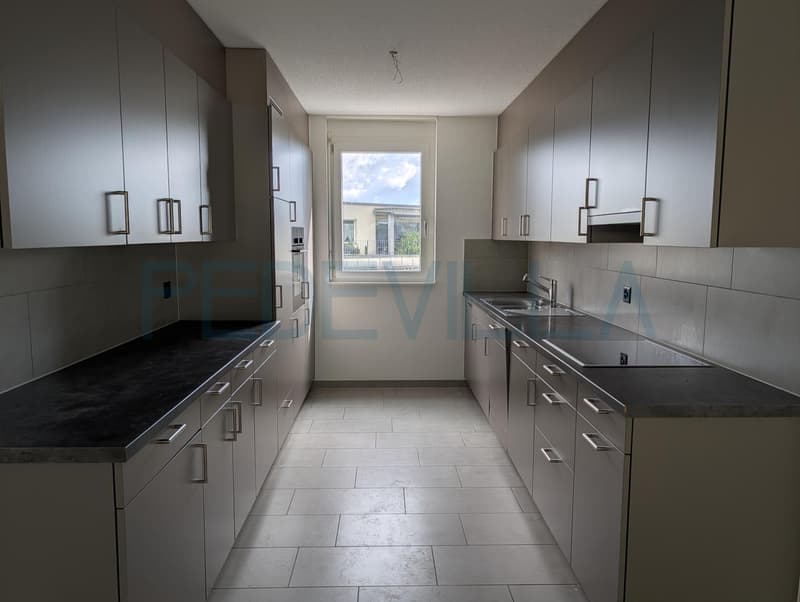 Appartement en attique avec terrasse spacieuse (4)